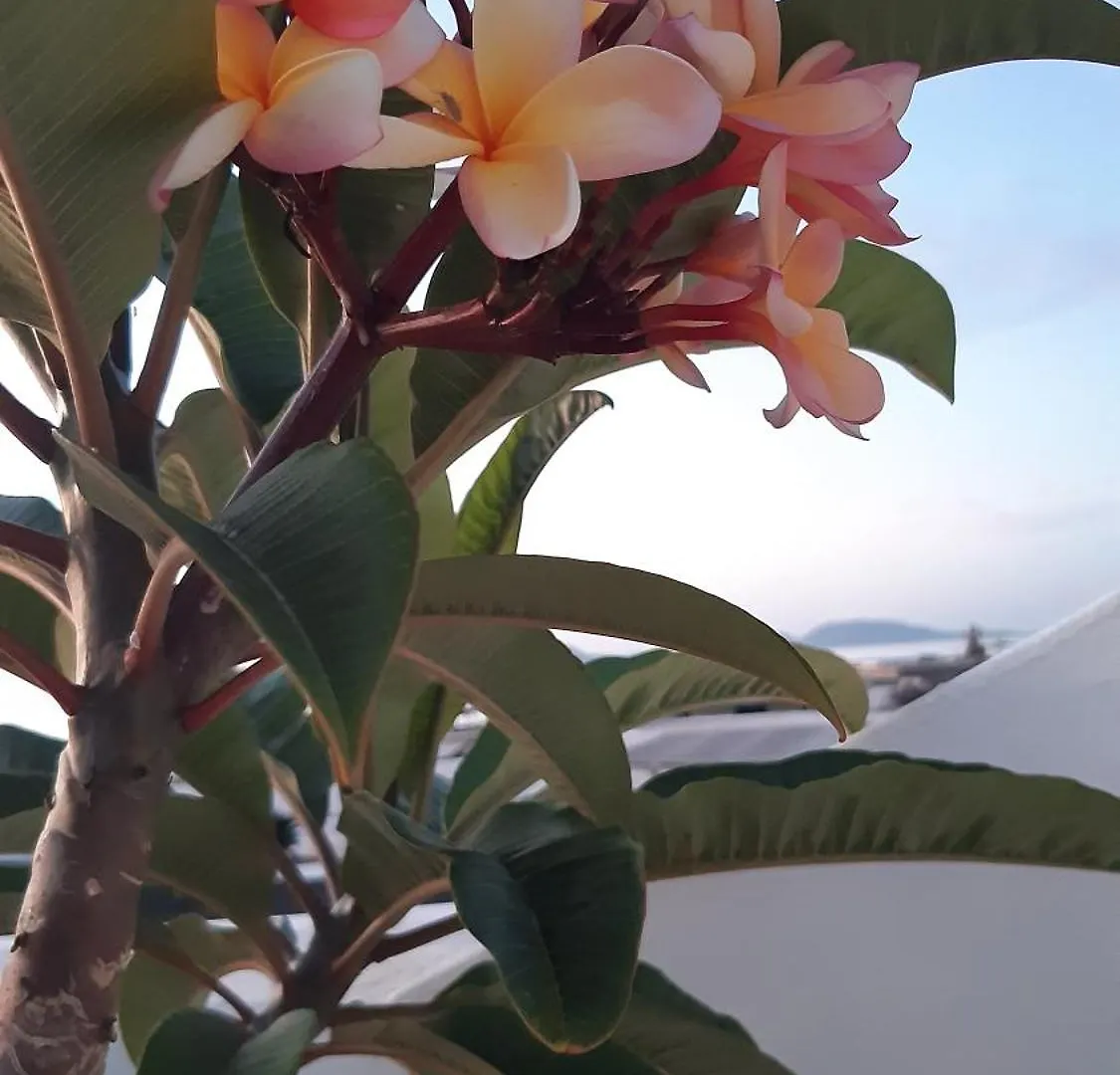 Villa La Belle Vie à Famara 0*,  Espagne